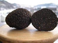 Schwarze pilze wachsend indoors on substrat