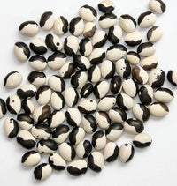 Schwarze and weiße bean pflanzen wachsend in a garten