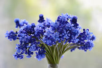 Blau lavender blumen blooming in garten
