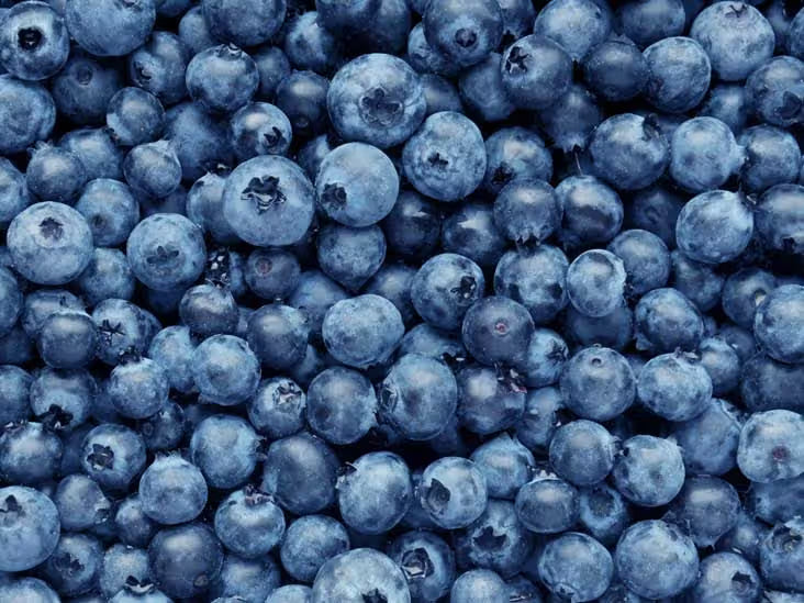 Blaubeere Samen für einfaches Anpflanzen