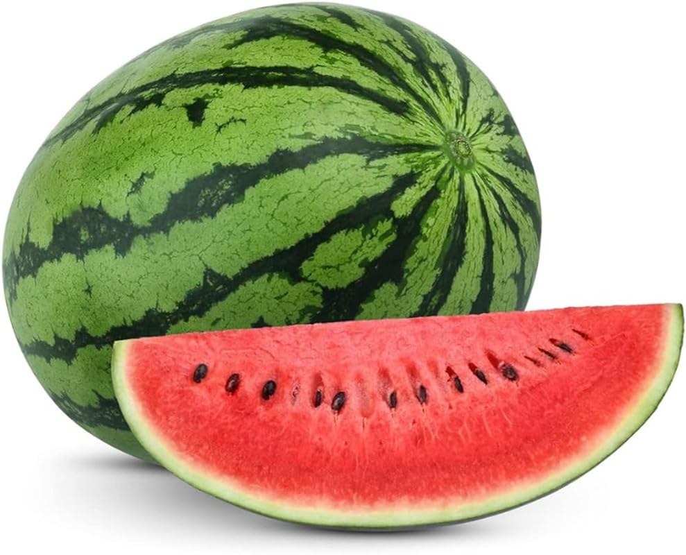 Compact bonsai watermelon pflanzen gezogen aus samen