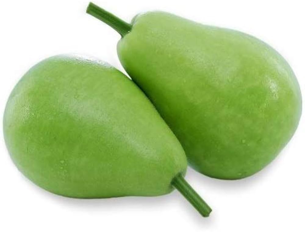 Bottle gourd samen für gemüse patch and home gardens
