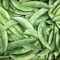 Broad bean samen with high germination für garten aussaat