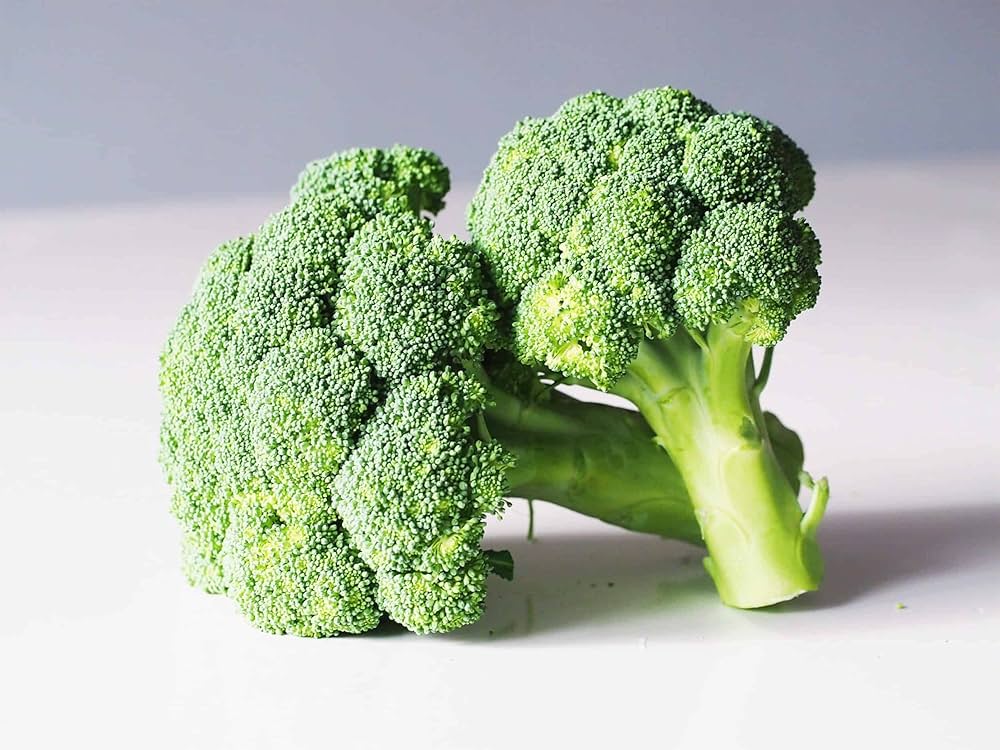 Broccoli seedlings wachsend in garten