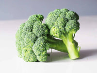 Broccoli seedlings wachsend in garten