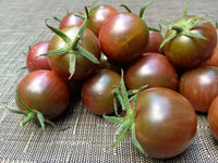 Brown flesh organic tomato samen für aussaat