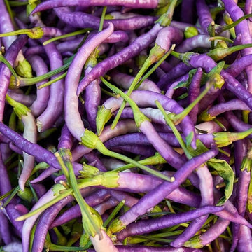 Buena mulata hot pepper samen non gmo für aussaat