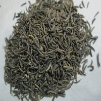 Bunium persicum grown from Samen thriving in a sunny spice Garten