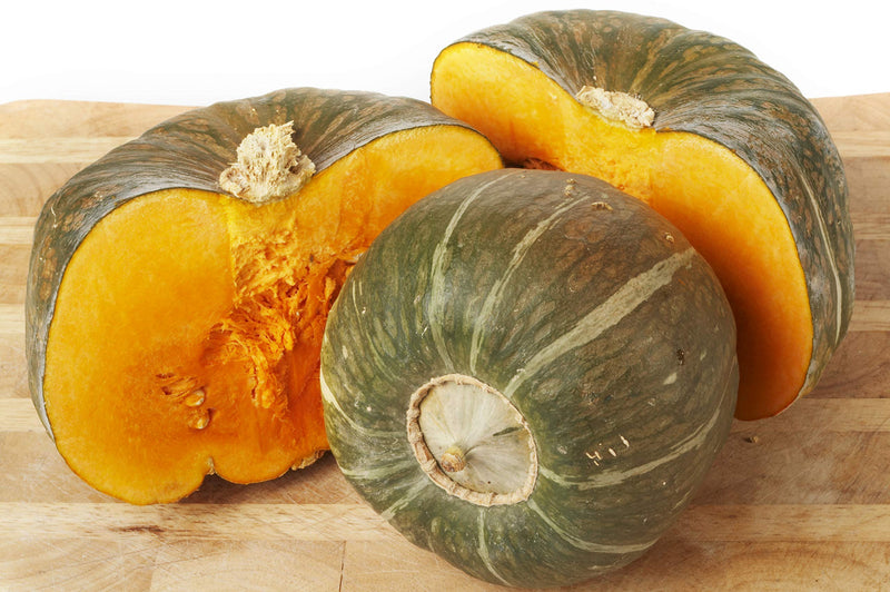 Buttercrop burgess squash samen für aussaat