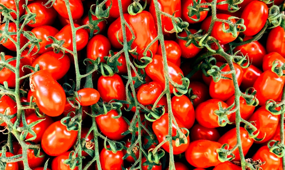 Grape Tomate Samen - Delicious Gemüsesamen for Your Garden
