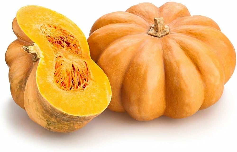 Calabaza pumpkin samen für gemüse patch and edible garten