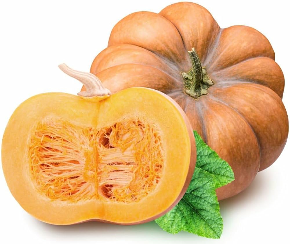 Calabaza pumpkin pflanzen wachsend aus high quality samen