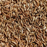 Caraway Samen Arterner Carum carvi Pflanze for Zuhause Gartenarbeit