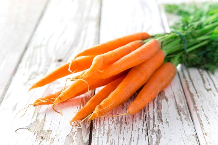 Closeup of high-quality daucus carota carrot samen