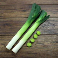 Casimir Leek Samen Allium ampeloprasum ornamental allium