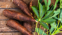 Non gmo cassava samen einfachen to pflanze
