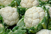 Harvest-ready cauliflower heads aus samen