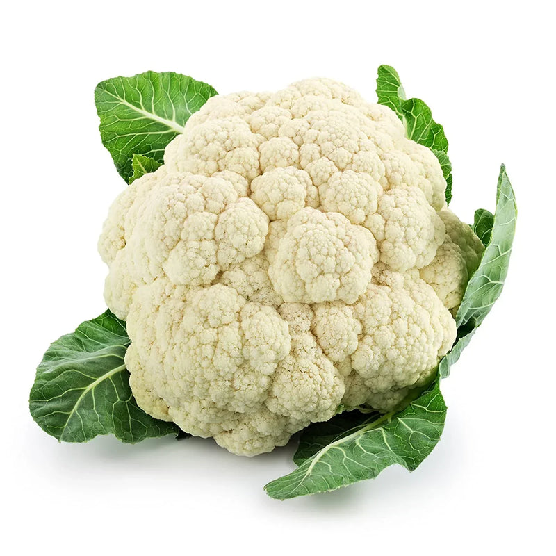 Cauliflower samen für home garten aussaat, non-gmo