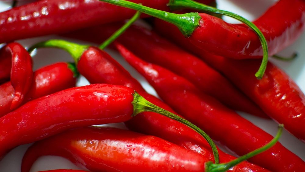 Cayenne Pepper Samen: Planting Guide for Successful Growth
