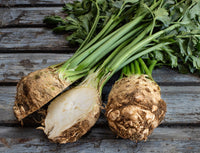Celeriac samen für aussaat in a home garten