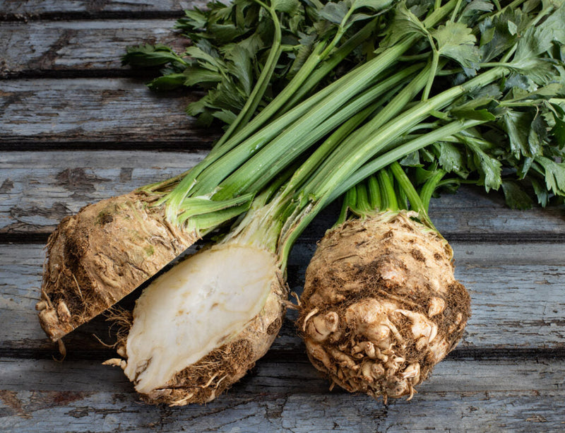 Celeriac samen für aussaat in a home garten