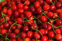 Kirsche Frucht Samen für einfaches Anpflanzen