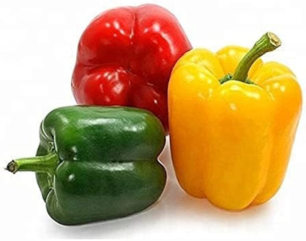 Chili pie bell pepper pflanzen wachsend in home gemüse garten
