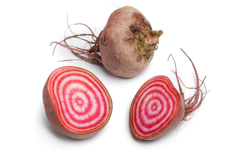 Chioggia beet samen für home garten aussaat, non-gmo