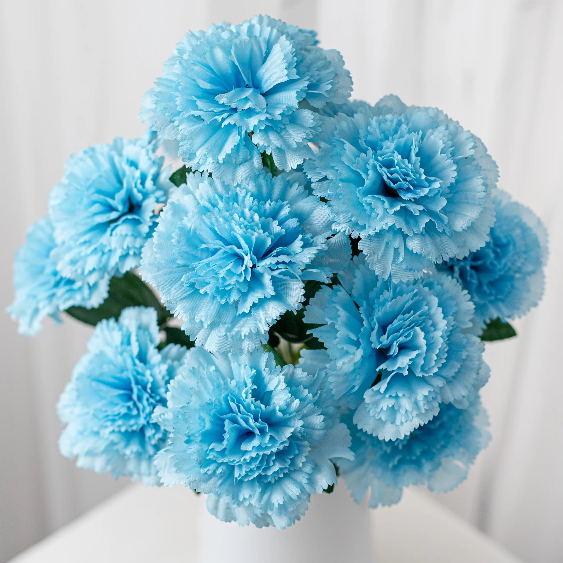 Himmelblau Nelke Blumensamen zur Aussaat leuchtend Blüten Traditionssorte & ohne Gentechnik Samen Hausgarten