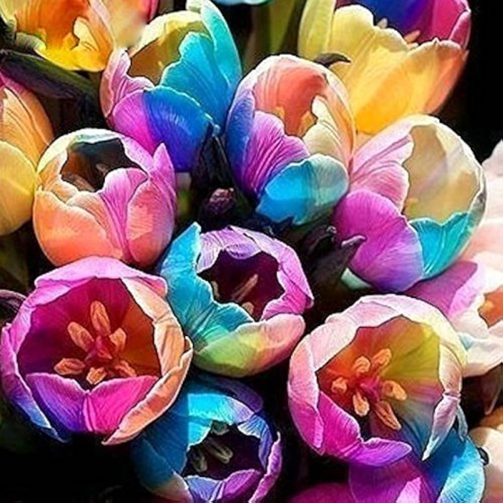 Colorful tulip blume border with rainbow mix