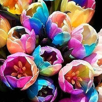 Colorful tulip blume border with rainbow mix