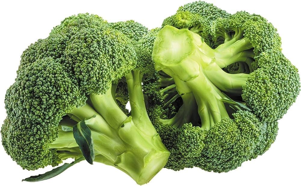 Cool season broccoli samen für aussaat