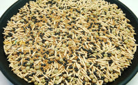Cream Forage Cover Crop – High Yield gentechnikfrei Forage Variety