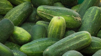 Crisp cucumbers ready für kitchen use