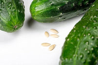 Crisp cucumber pflanze samen für fresh harvest
