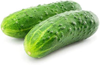 Crisp pickling cucumber samen für home gardens