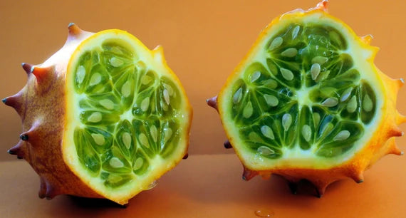 Cucumis metuliferus vines developing aus samen