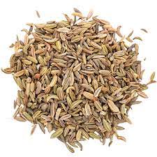 Cuminum cyminum cumin Pflanze thriving in dry climate