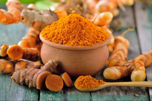 Curcuma Orange Kraut  Samen zur Aussaat leuchtend Garten