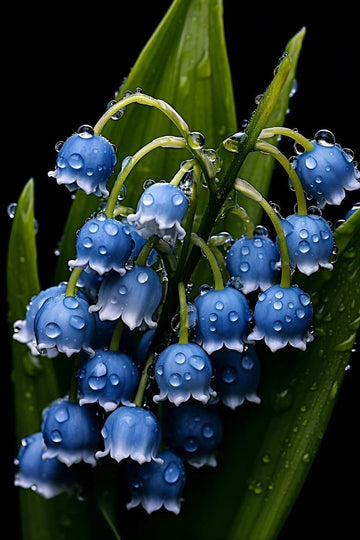 Blau Bell Orchidee Blumensamen zur Aussaat – Traditionssorte ohne Gentechnik duftend biologisch Garten Samen Keimung