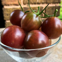 Aussaat guide für dark brown tomato samen