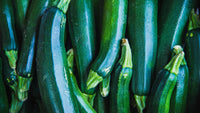 Dark grüne zucchini pflanzen wachsend in garten