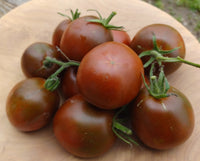 Aussaat guide für dark grey tomato samen