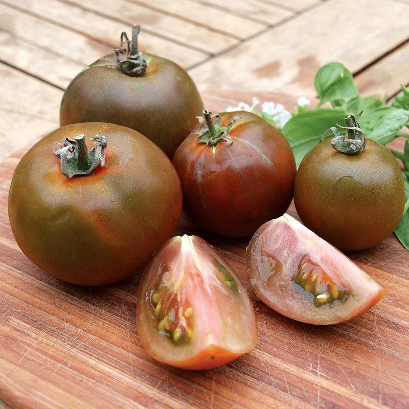 Dark grey tomato samen für aussaat
