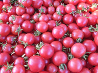 Aussaat guide für dark pink tomato samen