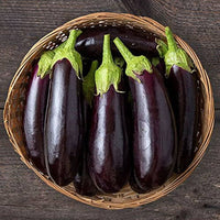 Diamond eggplant samen für aussaat non gmo high yield variety
