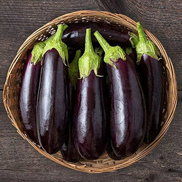 Diamond eggplant samen für aussaat non gmo high yield variety