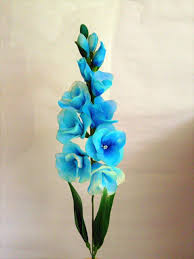 Sky blau gladiolus blume samen for anpflanzung fragrant blossoms heirloom & gmo free samen for home garten
 
 sale for anpflanzung in home garten