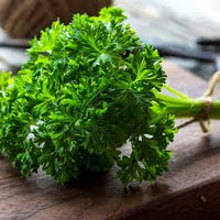 Parsley Blumensamen – Traditionssorte ohne Gentechnik Landhaus Garten Aussaat