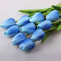Tulpe Blumensamen Himmelblau Blumensamen zur Aussaat – Schnitt Blume beliebt – Traditionssorte & ohne Gentechnik Samen Hausgarten